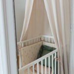 img23pk8h.jpg